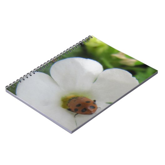 ラディバグ ノートブック (左側)