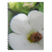 ラディバグ ノートブック (正面)