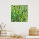 ラディバグ ポスター (キッチン)