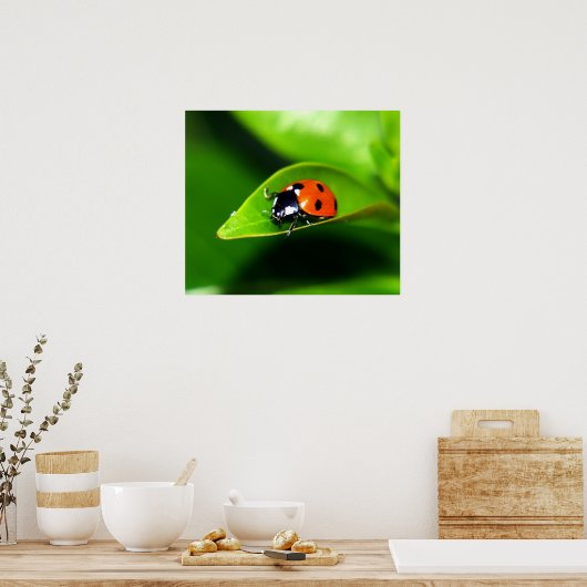 ラディバグ ポスター (キッチン)