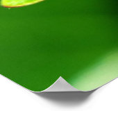 ラディバグ ポスター (角)