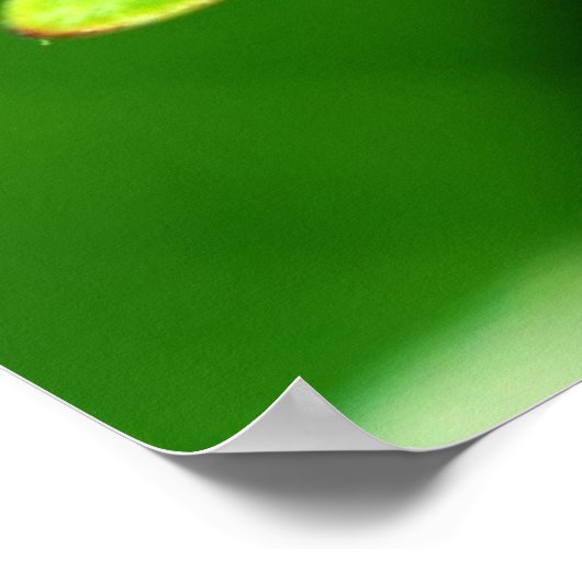 ラディバグ ポスター (角)