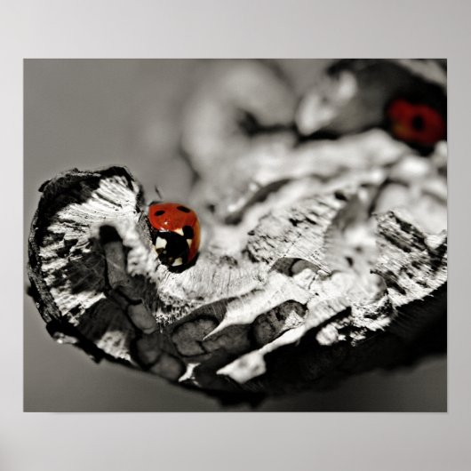 ラディバグ ポスター (正面)