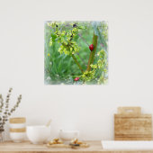 ラディバグ ポスター (キッチン)