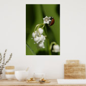 ラディバグ ポスター (キッチン)