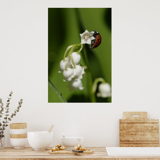 ラディバグ ポスター (キッチン)