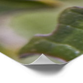 ラディバグ ポスター (角)