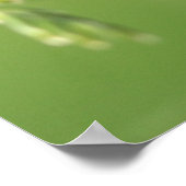 ラディバグ ポスター (角)