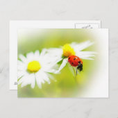 ラディバグ ポストカード (正面/裏面)