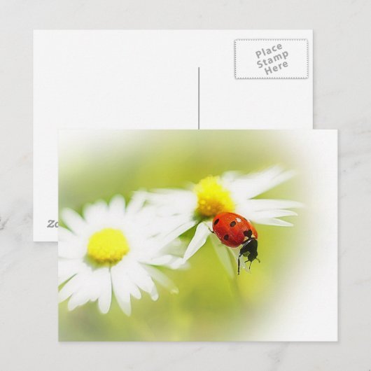 ラディバグ ポストカード (正面/裏面)