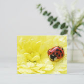 ラディバグ ポストカード (スタンド正面)