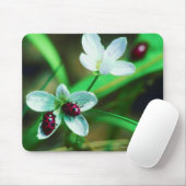 ラディバグ マウスパッド (マウス)