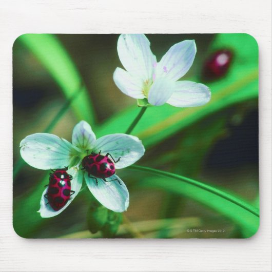 ラディバグ マウスパッド (正面)