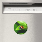 ラディバグ マグネット (インサイチュ (食洗機))