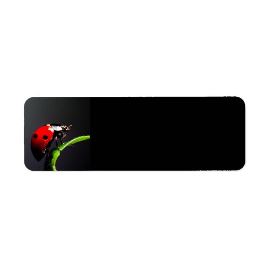 ラディバグ ラベル (正面)