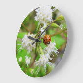 ラディバグ ラージ壁時計 (傾斜)