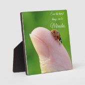 ラディバグ「最小の奇跡」プラーク・ギフト フォトプラーク (正面)