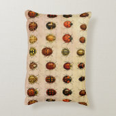 ラディバグLadybirdカブトムシ虫バグ アクセントクッション (裏面(縦))