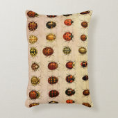 ラディバグLadybirdカブトムシ虫バグ アクセントクッション (正面(垂直))