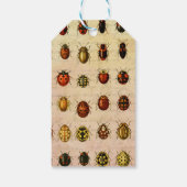 ラディバグLadybirdカブトムシ虫バグ ギフトタグ (裏面)