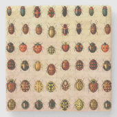 ラディバグLadybirdカブトムシ虫バグ ストーンコースター (正面)