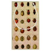 ラディバグLadybirdカブトムシ虫バグ スモールペーパーバッグ (裏面)