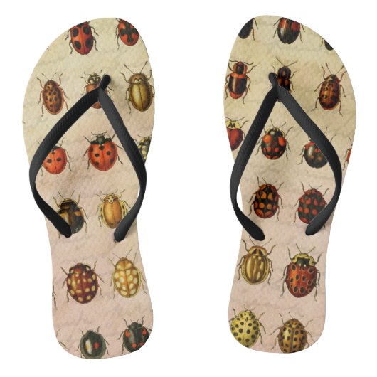 ラディバグLadybirdカブトムシ虫バグ ビーチサンダル (ソール)