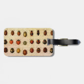 ラディバグLadybirdカブトムシ虫バグ ラゲッジタグ (裏面横)