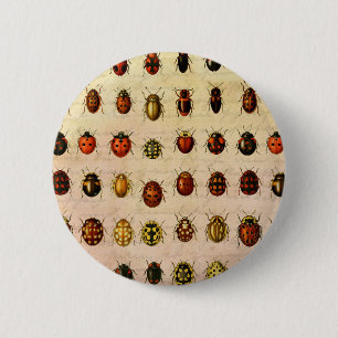 ラディバグLadybirdカブトムシ虫バグ 缶バッジ