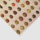 ラディバグLadybirdカブトムシ虫バグ 薄葉紙 (詳細)