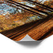 ラディバードランニングレイク湖のトレイル – オースティン、テキサス州 ポスター (角)