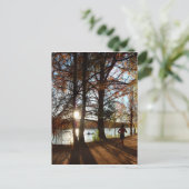 ラディバードランニングレイク湖のトレイル – オースティン、テキサス州 ポストカード (スタンド正面)