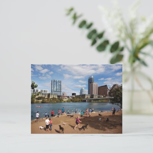 ラディバードレイクドッグパークオースティンテキサス州スカイライン ポストカード (スタンド正面)