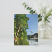 ラディバードレイクロープスイング – オースティンテキサス州 ポストカード (スタンド正面)