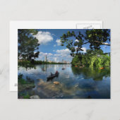 ラディバード湖/オースティンテキサス州スカイライン3 ポストカード (正面/裏面)