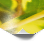 ラディバード フォトプリント            (角)