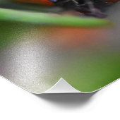 ラディバード フォトプリント            (角)