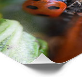 ラディバード フォトプリント            (角)