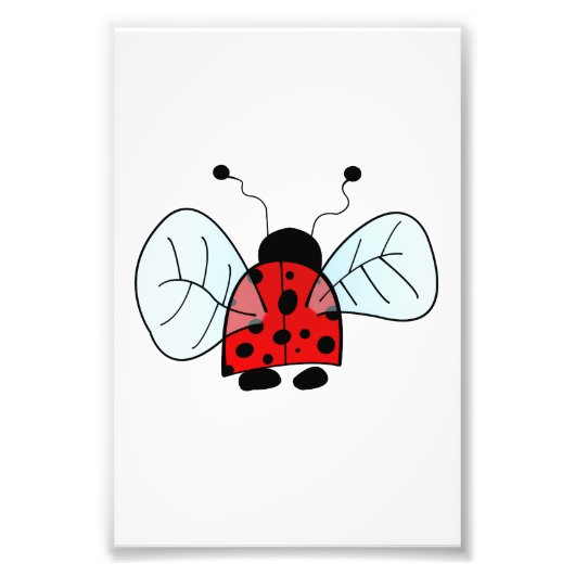 ラディバード フォトプリント            (正面)