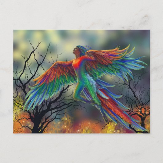 ラディバード ポストカード (正面)