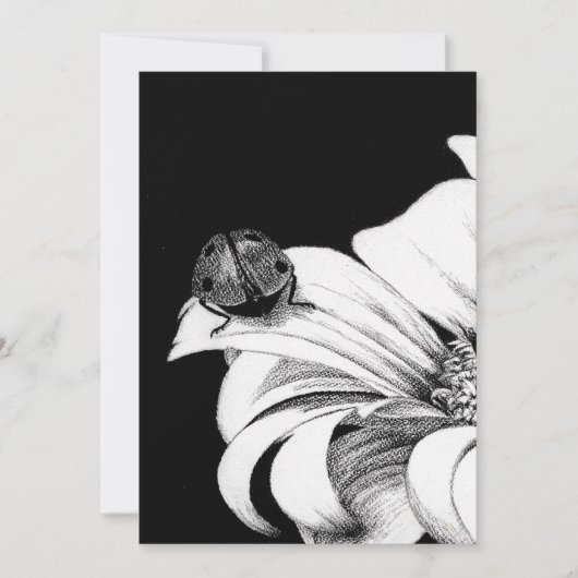 ラディバード 招待状 (正面)