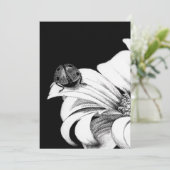 ラディバード 招待状 (スタンド正面)