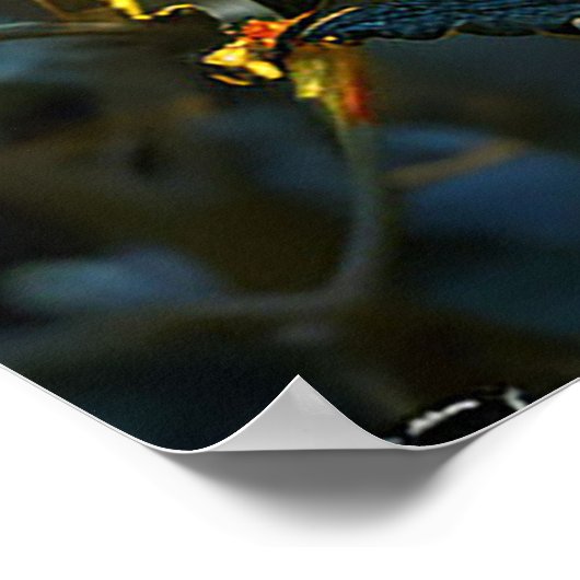 ラディバ鮮やかグ ポスター (角)