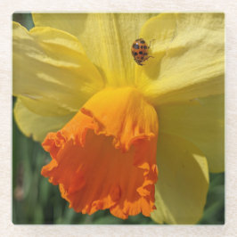 ラディブグオンイエロー水仙フローラ ガラスコースター