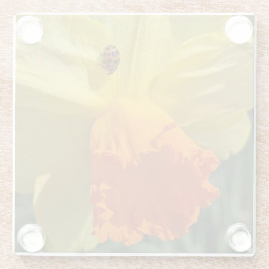 ラディブグオンイエロー水仙フローラ ガラスコースター (裏面)