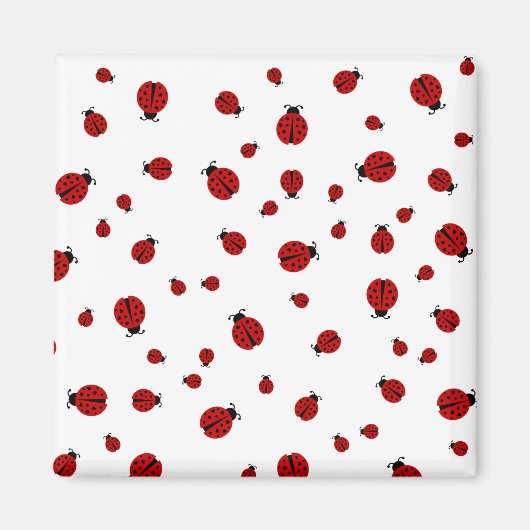 ラディブグ マグネット (正面)