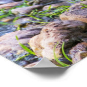 ラディ・ダック ポスター (角)