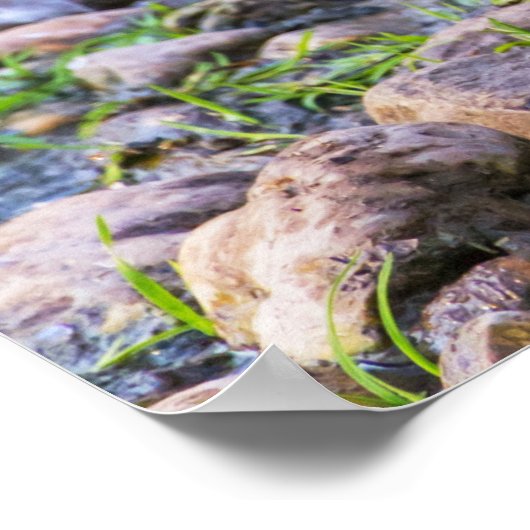 ラディ・ダック ポスター (角)