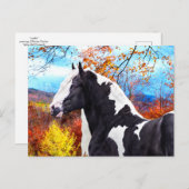 「ラディ」 ポストカード (正面/裏面)