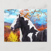 「ラディ」 ポストカード (正面)